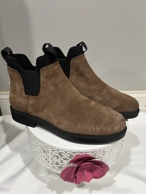 AEROSOLES Brown Suede Chukka Boots with Black Elastic Panels